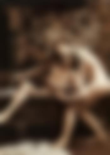 Byram's Tryst (preview)