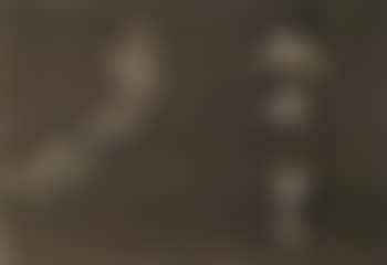 Study of two female nudes (preview)