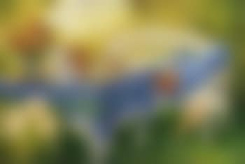 Summer breakfast (preview)