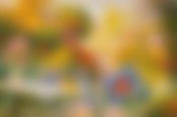 Meal amongst the summer blooms (preview)