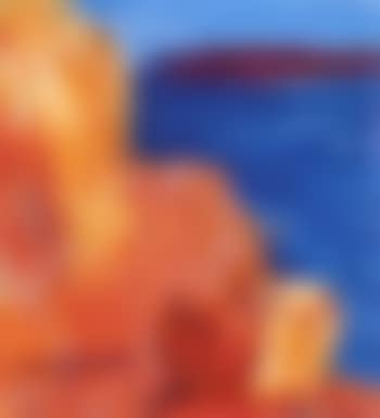Coastal landscape (preview)