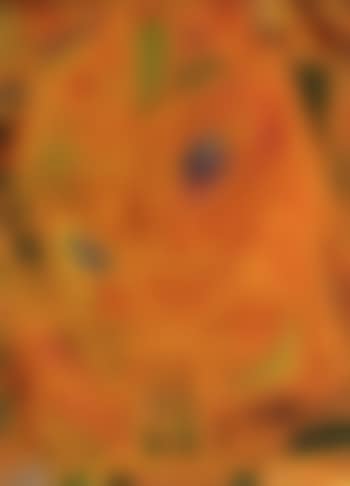 Toy picture (preview)