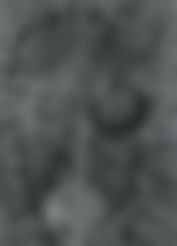 Face (preview)