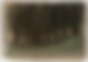 Trees (preview)