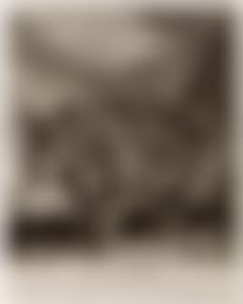 Verschiedene sonderbare thiere (preview)