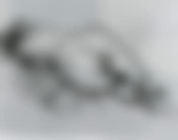 Reclining nude (preview)