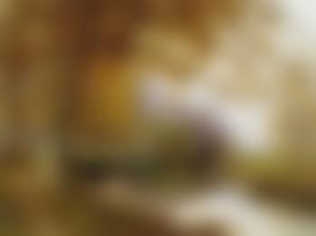 Mill stream (preview)
