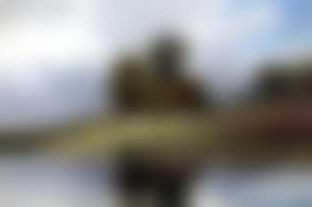 River landscape with meadow (preview)