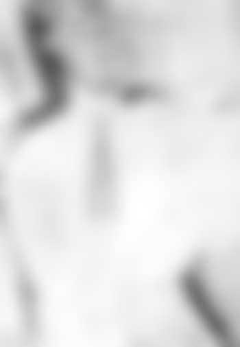 Henri Laurens (preview)