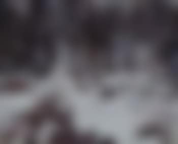 Paysage de neige (preview)