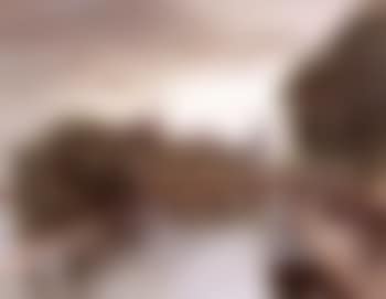 Pont-neuf (preview)