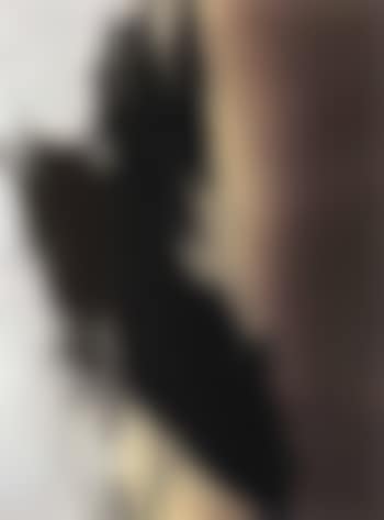 T1982-R31 (preview)