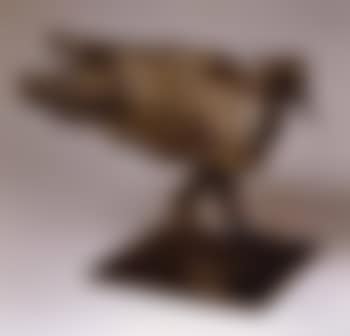 Poule Andree (preview)