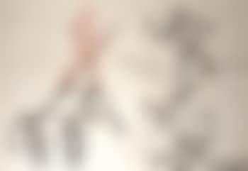 Echasses (preview)