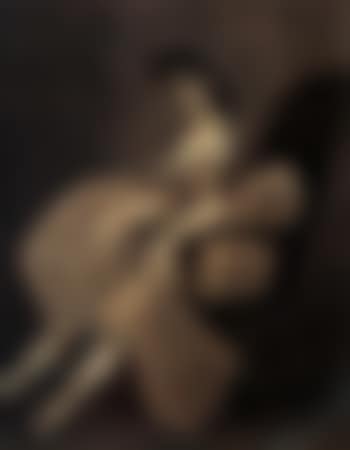 Femme assise dans un fauteuil (preview)