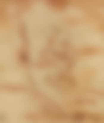 Saint Jerome in the desert (preview)
