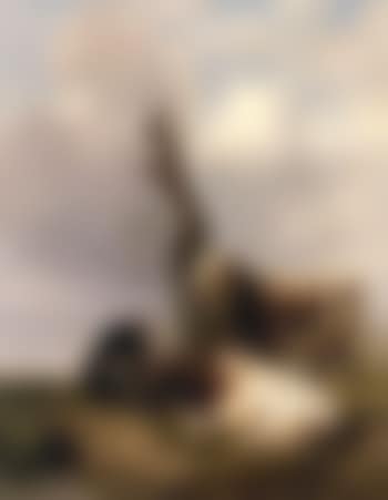 Cattle resting in a landscape (preview)