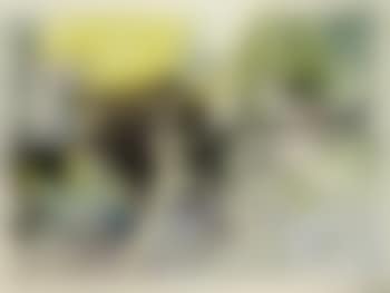 Landscape (preview)