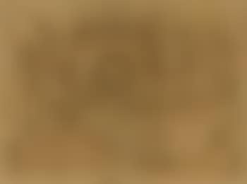Landscape (preview)