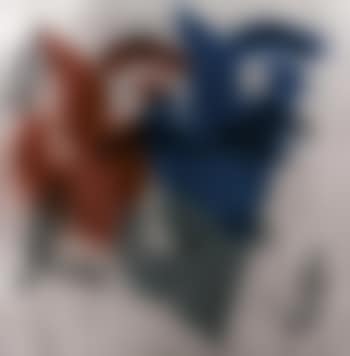 Half dollar (preview)