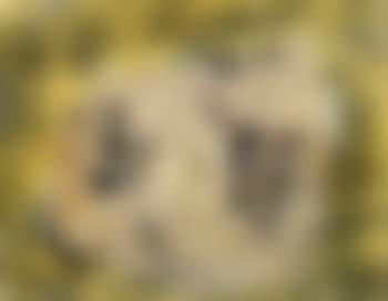 Fruit (preview)
