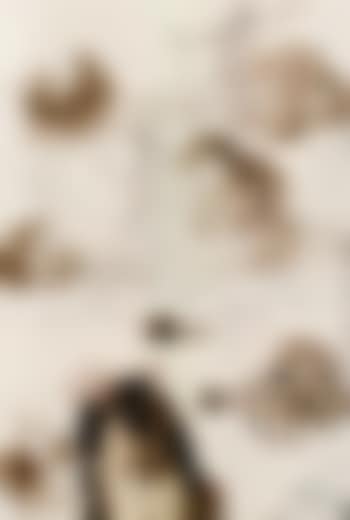 Illustration pour la Sainte Bible (preview)