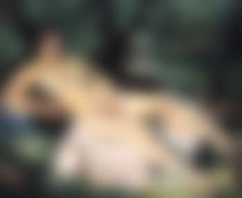 Nu a la riviere (preview)