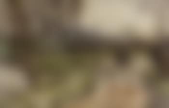 Country track (preview)