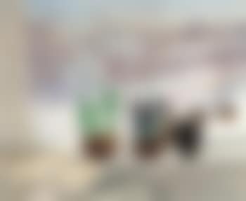 Hellibore and hyacinth (preview)