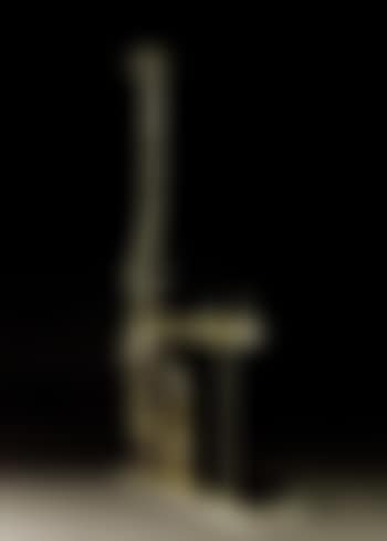 Venus a la girafe (preview)