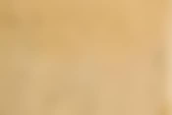 Study of nudes (preview)