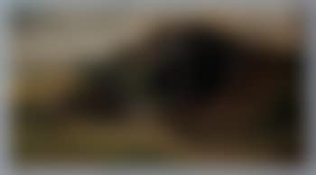 Landscape with shed (preview)