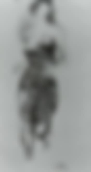 Woman (preview)