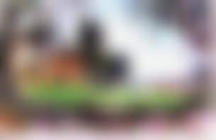Mas et cypres (preview)