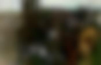 Jacob herding cattle (preview)
