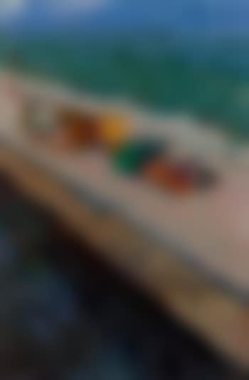 Windbreakers, Aldeburgh (preview)