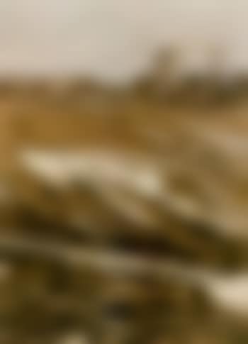 Frozen fields in winter, Higham, Essex (preview)