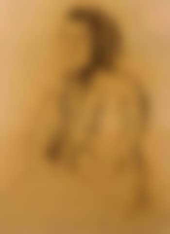 Portrait of a lady in a shawl (preview)