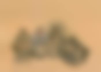 Four Bedouins (preview)