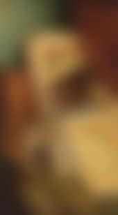 Kittens and canvases (preview)