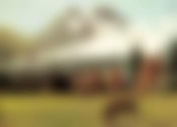 Landscape (preview)