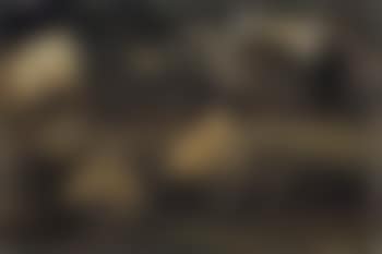 Landscape with small bundles of straw (preview)