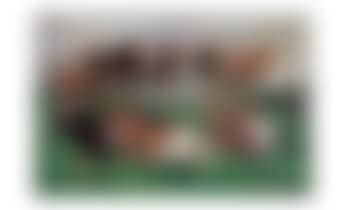 Paturage Normand (preview)