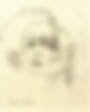 Transparence (preview)