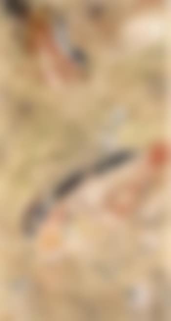 Poissons et oeillets (preview)