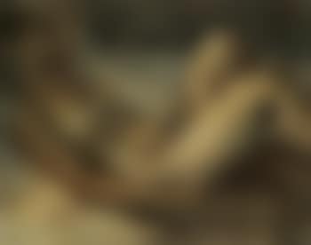 Female Nude (preview)