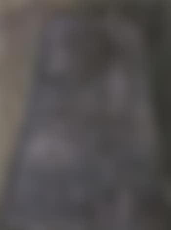 Montagne d'argent (preview)