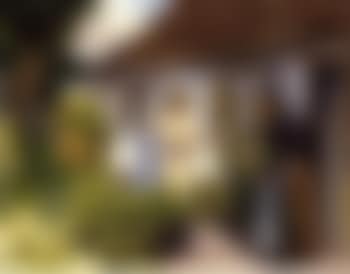 Old Line's birthday (preview)