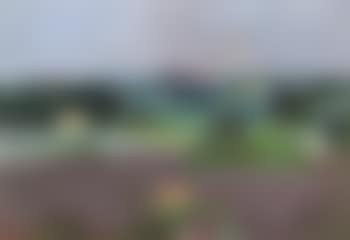 Wide landscape (preview)
