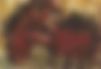 Aggenakker - hedgehog (preview)